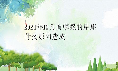 2024年10月有孽缘的星座什么原因造成