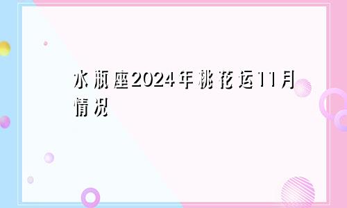 水瓶座2024年桃花运11月情况 带来好变化