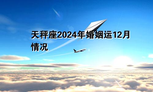 天秤座2024年婚姻运12月情况 可能是较大危机