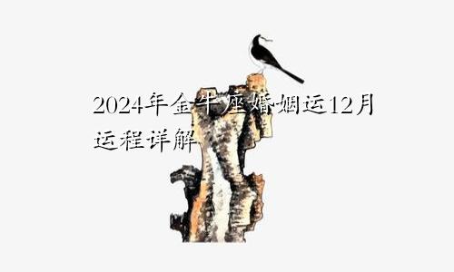 2024年金牛座婚姻运12月运程详解 出现许多问题