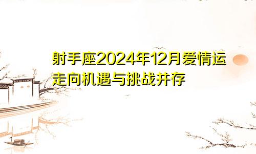 射手座2024年12月爱情运走向机遇与挑战并存　　