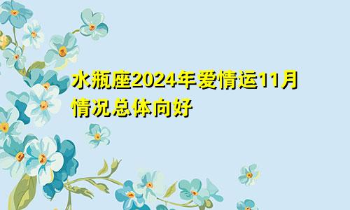 水瓶座2024年爱情运11月情况总体向好　　