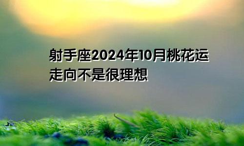 射手座2024年10月桃花运走向不是很理想