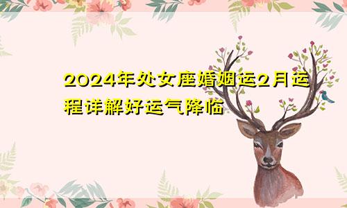 2024年处女座婚姻运2月运程详解好运气降临