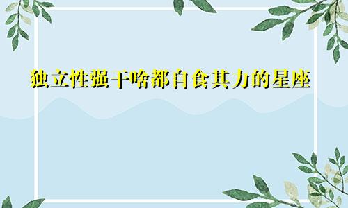 独立性强干啥都自食其力的星座