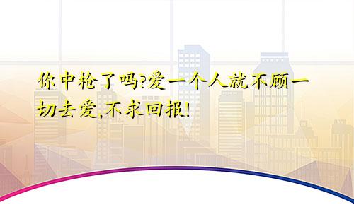 你中枪了吗?爱一个人就不顾一切去爱,不求回报!