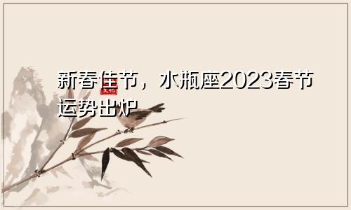 新春佳节，水瓶座2023春节运势出炉