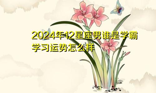 2024年12星座男谁是学霸学习运势怎么样