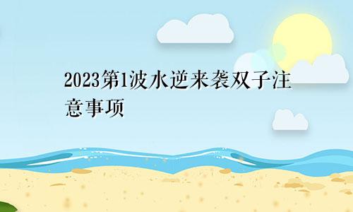 2023第1波水逆来袭双子注意事项