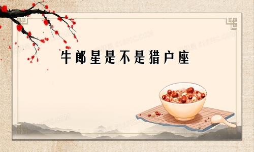 牛郎星是不是猎户座 位于什么星座