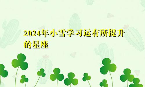 2024年小雪学习运有所提升的星座 努力会有回报