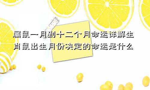 属鼠一月到十二个月命运详解生肖鼠出生月份决定的命运是什么