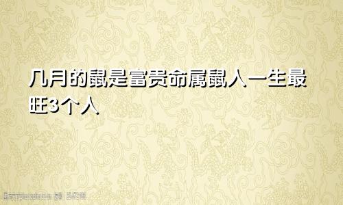 几月的鼠是富贵命属鼠人一生最旺3个人