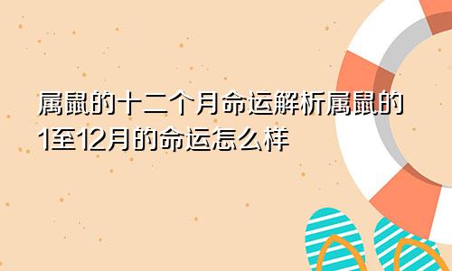 属鼠的十二个月命运解析属鼠的1至12月的命运怎么样