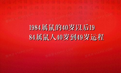 1984属鼠的40岁以后1984属鼠人40岁到49岁运程