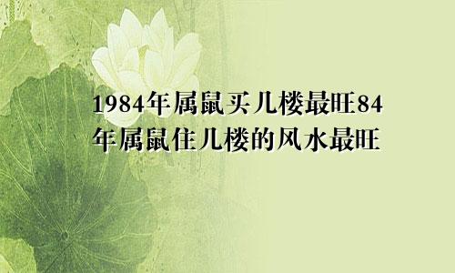 1984年属鼠买几楼最旺84年属鼠住几楼的风水最旺