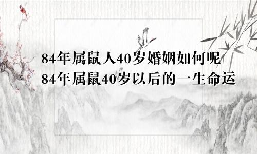 84年属鼠人40岁婚姻如何呢84年属鼠40岁以后的一生命运