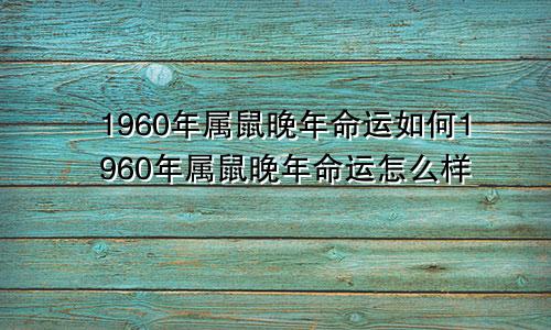 1960年属鼠晚年命运如何1960年属鼠晚年命运怎么样