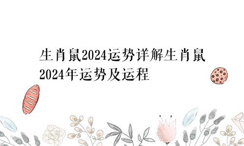 生肖鼠2024运势详解生肖鼠2024年运势及运程