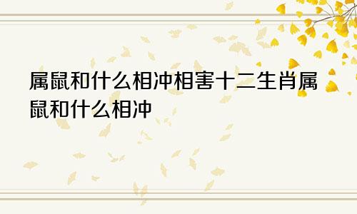 属鼠和什么相冲相害十二生肖属鼠和什么相冲