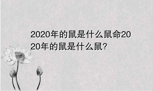 2020年的鼠是什么鼠命2020年的鼠是什么鼠?