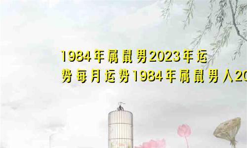 1984年属鼠男2023年运势每月运势1984年属鼠男人2023年运势