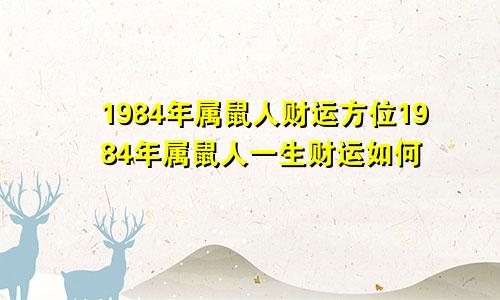 1984年属鼠人财运方位1984年属鼠人一生财运如何