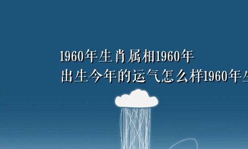 1960年生肖属相1960年出生今年的运气怎么样1960年生人属相