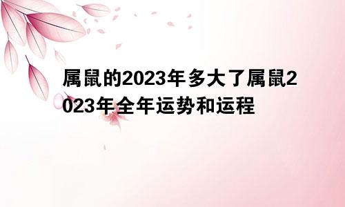 属鼠的2023年多大了属鼠2023年全年运势和运程