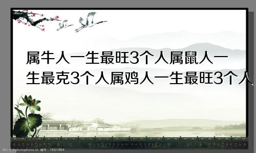 属牛人一生最旺3个人属鼠人一生最克3个人属鸡人一生最旺3个人