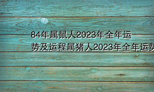 84年属鼠人2023年全年运势及运程属猪人2023年全年运势及运程