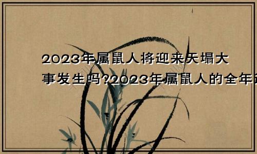 2023年属鼠人将迎来天塌大事发生吗?2023年属鼠人的全年运势详解