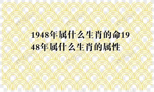 1948年属什么生肖的命1948年属什么生肖的属性