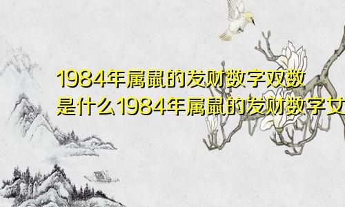 1984年属鼠的发财数字双数是什么1984年属鼠的发财数字女