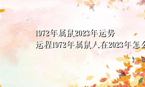 1972年属鼠2023年运势运程1972年属鼠人在2023年怎么样