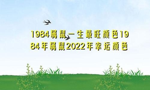 1984属鼠一生最旺颜色1984年属鼠2022年幸运颜色