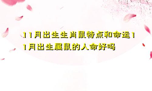 11月出生生肖鼠特点和命运11月出生属鼠的人命好吗