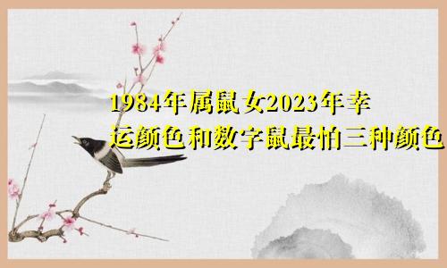 1984年属鼠女2023年幸运颜色和数字鼠最怕三种颜色