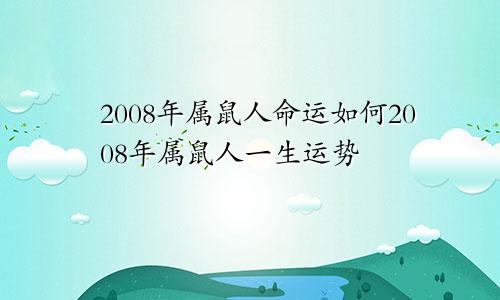 2008年属鼠人命运如何2008年属鼠人一生运势