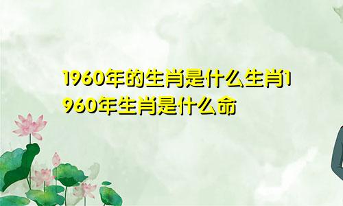 1960年的生肖是什么生肖1960年生肖是什么命