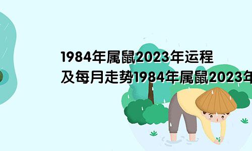 1984年属鼠2023年运程及每月走势1984年属鼠2023年运程(麦玲玲讲解)