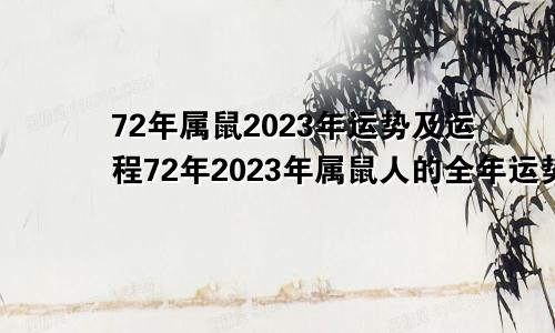 72年属鼠2023年运势及运程72年2023年属鼠人的全年运势