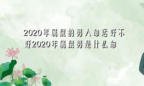 2020年属鼠的男人命运好不好2020年属鼠男是什么命