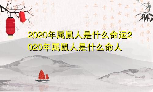 2020年属鼠人是什么命运2020年属鼠人是什么命人