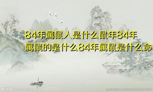 84年属鼠人是什么鼠年84年属鼠的是什么84年属鼠是什么命?