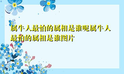 属牛人最怕的属相是谁呢属牛人最怕的属相是谁图片