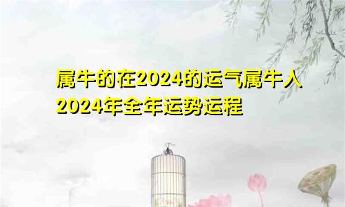 属牛的在2024的运气属牛人2024年全年运势运程