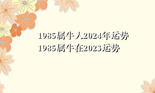 1985属牛人2024年运势1985属牛在2023运势