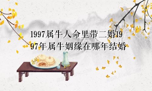 1997属牛人命里带二婚1997年属牛姻缘在哪年结婚