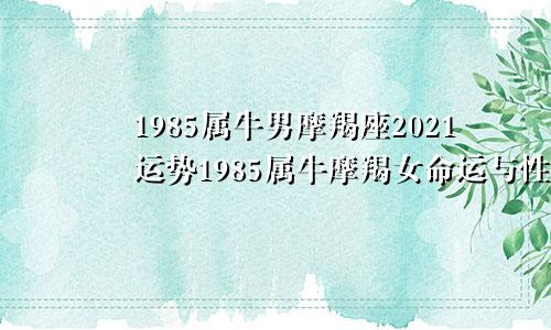 1985属牛男摩羯座2021运势1985属牛摩羯女命运与性格